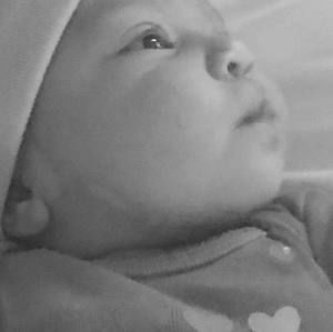 Meet your Posher, Martha